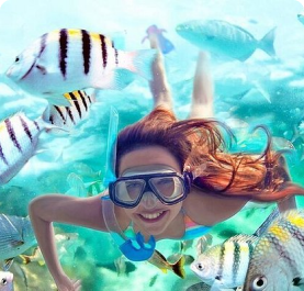 Aquatice Escapes